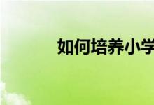 如何培养小学生英语学习方法!