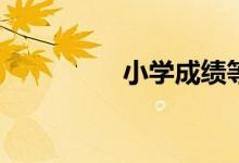 小学成绩等级怎么划分?