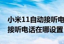 小米11自动接听电话怎么设置（小米10自动接听电话在哪设置）