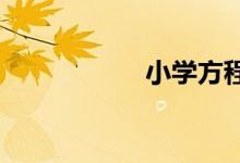 小学方程的解题方法
