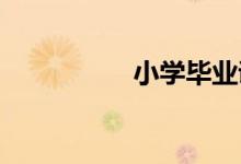 小学毕业证丢了怎么办
