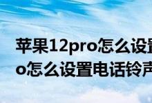 苹果12pro怎么设置电话铃声（iPhone13pro怎么设置电话铃声）