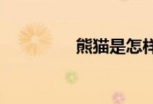 熊猫是怎样吃东西的作文