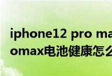 iphone12 pro max健康电池（iPhone13promax电池健康怎么查）