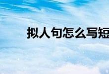 拟人句怎么写短句（拟人句怎么写）