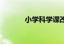 小学科学课改实验课注意事项
