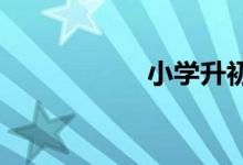 小学升初中复习方法