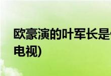 欧豪演的叶军长是什么电视(欧豪演叶军长的电视)