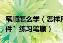 笔顺怎么学（怎样用“苏教版生字笔顺演示软件”练习笔顺）