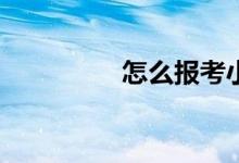 怎么报考小学编制教师？