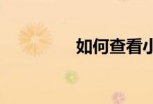 如何查看小学德育的方法