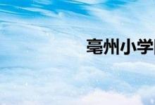 亳州小学网上怎么报名