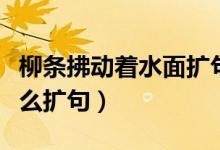 柳条拂动着水面扩句怎么写（柳条拂过水面怎么扩句）