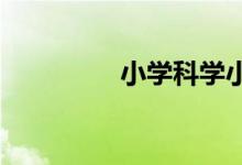 小学科学小制作作品图解