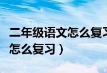 二年级语文怎么复习学过的课程（二年级语文怎么复习）