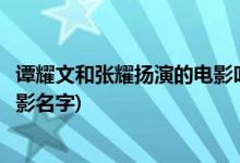 谭耀文和张耀扬演的电影叫什么名字(谭耀文和张耀扬演的电影名字)