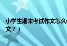 小学生期末考试作文怎么修改（如何应对小学生期末考试作文？）