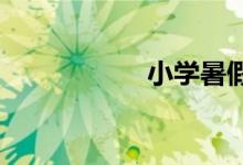小学暑假计划怎么做