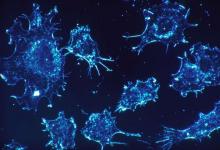 新的癌症治疗可能会重新唤醒免疫系统