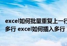 excel如何批量重复上一行的内容（excel怎么一次批量插入多行 excel如何插入多行）