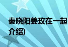 秦晓阳姜玫在一起了吗(秦晓阳和姜玫的结局介绍)