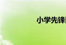 小学先锋队申请怎样写