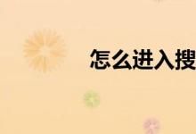 怎么进入搜狐的体育版块?