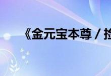 《金元宝本尊／捡漏》小说全文大结局
