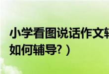 小学看图说话作文辅导技巧（小学看图说话该如何辅导?）