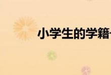 小学生的学籍号在哪里可以查到