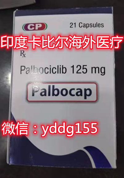 哌柏西利-帕博西尼-爱博新_副本.jpg