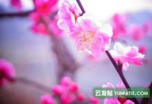 给男朋友下了泰国情降_和合术多久见效