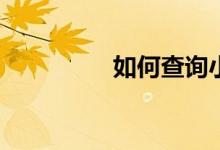 如何查询小学期末成绩？