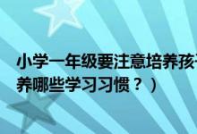 小学一年级要注意培养孩子什么（新生一年级的孩子需要培养哪些学习习惯？）