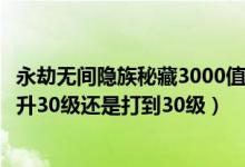 永劫无间隐族秘藏3000值得买吗（永劫无间荣耀秘藏卷直接升30级还是打到30级）