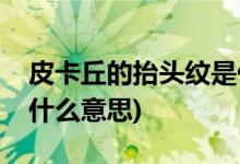 皮卡丘的抬头纹是什么梗(皮卡丘的抬头纹是什么意思)