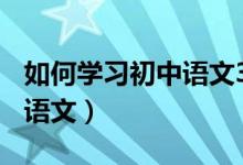 如何学习初中语文300字左右（如何学习初中语文）