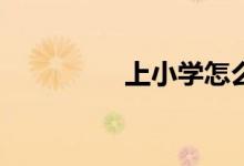 上小学怎么在网上报名？