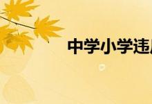 中学小学违反职业道德处理