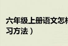 六年级上册语文怎样复习（六年级语文上册复习方法）
