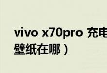 vivo x70pro 充电测试（vivox70pro 动态壁纸在哪）