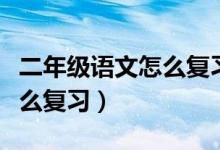 二年级语文怎么复习期末考试（二年级语文怎么复习）