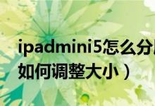 ipadmini5怎么分屏看视频（ipadmini分屏如何调整大小）