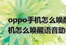 oppo手机怎么唤醒语音助手改名（oppo手机怎么唤醒语音助手）