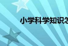 小学科学知识怎样开展自主学习？