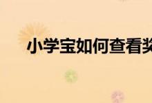 小学宝如何查看奖学金商城的相关商品