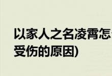 以家人之名凌霄怎么受伤的(以家人之名凌霄受伤的原因)