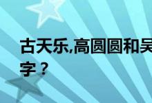 古天乐,高圆圆和吴彦祖出演的电影叫什么名字？