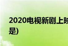 2020电视新剧上映表(2020电视新剧上映表是)