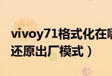 vivoy71格式化在哪里（vivoy71在哪里设置还原出厂模式）